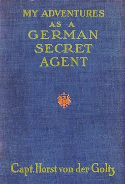 Horst Goltz My Adventures as a German Secret Service Agent обложка книги