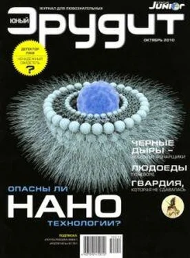 Неизвестный Автор Журнал «ЮНЫЙ ЭРУДИТ» № 10 (98), октябрь 2010 г. обложка книги