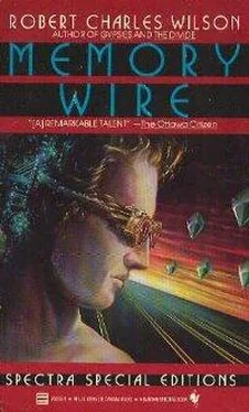 Robert Wilson Memory Wire обложка книги