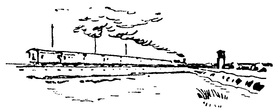 Гость - фото 11