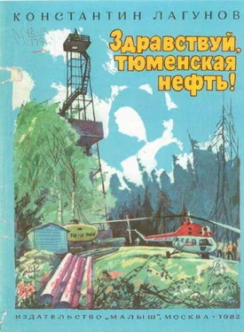 Константин Лагунов Здравствуй, тюменская нефть! обложка книги