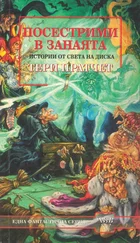 Тери Пратчет - Посестрими в занаята