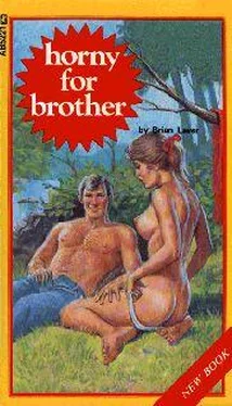 Brian Laver Horny for brother обложка книги