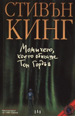 Стивън Кинг Момичето, което обичаше Том Гордън обложка книги