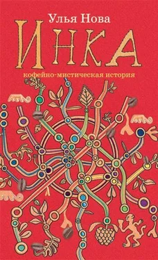 Улья Нова Инка обложка книги