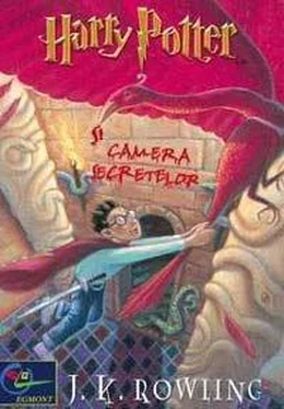 Joanne Rowling Harry Potter şi Camera Secretelor обложка книги