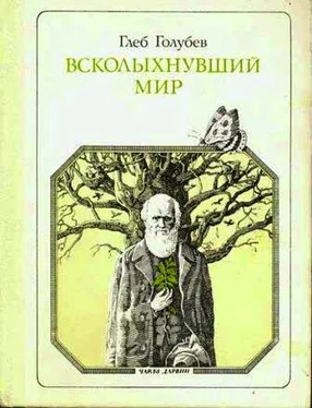 Глеб Голубев Всколыхнувший мир