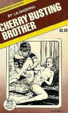 L. Madding Cherry busting brother обложка книги