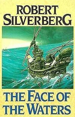 Robert Silverberg The Face of the Waters