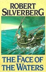 Robert Silverberg - The Face of the Waters
