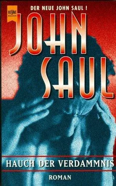 John Saul Hauch der Verdammnis обложка книги