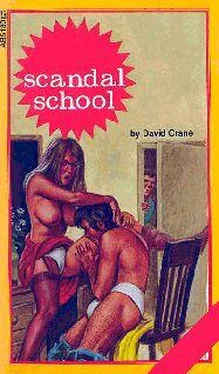 David Crane Scandal school обложка книги