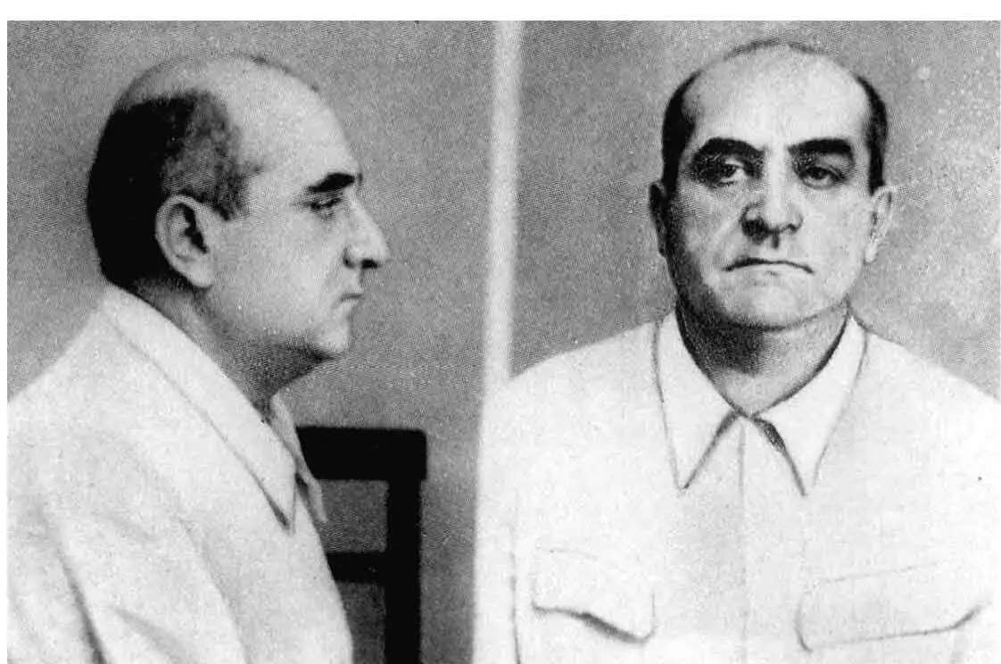 Н М Рухадзе А Н Рапава Ш О Церетели М Д Рюмин - фото 23