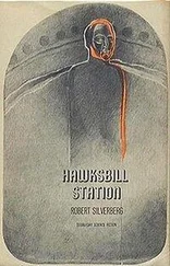 Robert Silverberg - Hawksbill Station