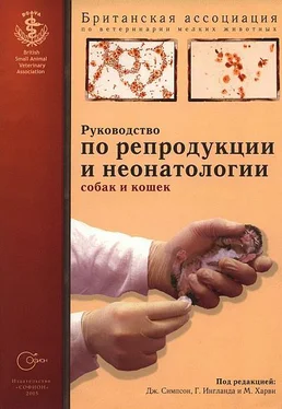 Array Британская ассоциация по ветеринарии Руководство по репродукции и неонатологии собак и кошек обложка книги