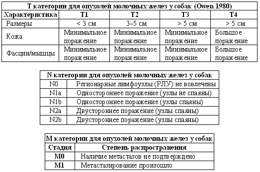 Фиг 55 Система классификации TNM обеспечивающий объективную оценку стадии - фото 49