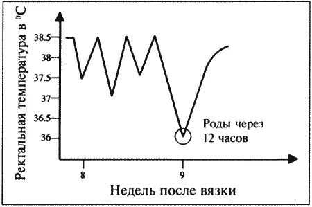 Фиг 121 Наиболее надежный признак приближения родов у собак снижение - фото 90