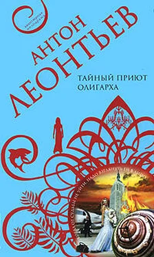 Антон Леонтьев Тайный приют олигарха обложка книги