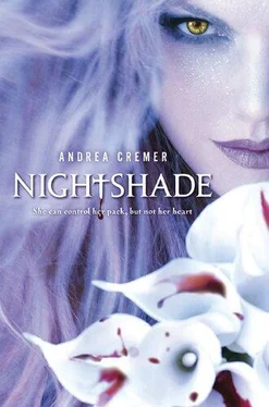 Андреа Кремер Nightshade обложка книги