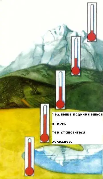Что такое тропосфера Воздух являющийся столь важной причиной образования - фото 13