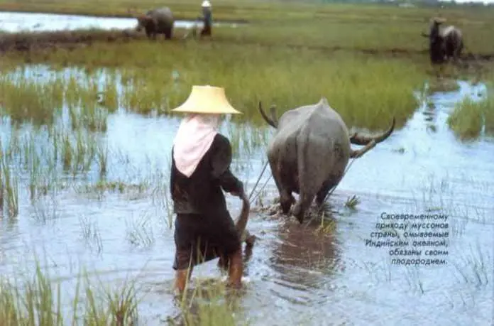 Что такое воздушные массы Если воздух над обширной территорией имеет - фото 48