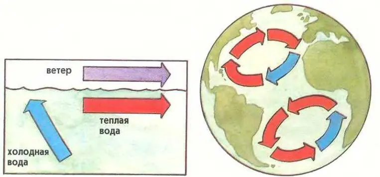 Морские течения приводят в движение воздушные массы их путь лежит от более - фото 58