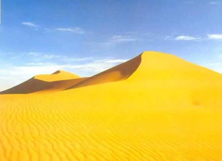 Пустыни засушливые области где осадки выпадают крайне редко или не выпадают - фото 59