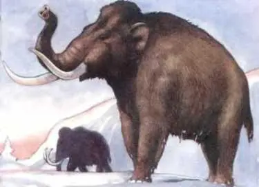 На заснеженных равнинах Европы и Азии в ледниковый период жили гигантские - фото 74