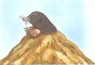 Народные приметы основаны на длительных наблюдениях за погодой и достаточно - фото 76