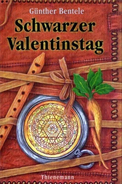 Günther Bentele Schwarzer Valentinstag обложка книги