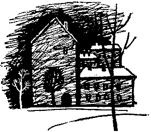 В зимнем городе - фото 2