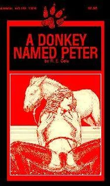 R Geis A donkey named Peter обложка книги