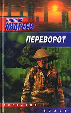 Николай Андреев Переворот обложка книги