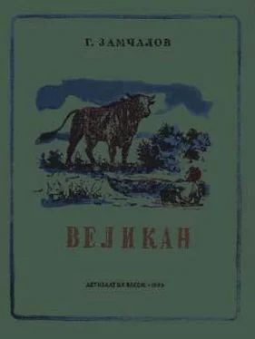 Григорий Замчалов Великан обложка книги