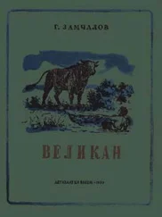 Григорий Замчалов - Великан