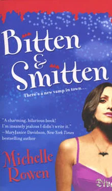 Мишель Роуэн Bitten & Smitten обложка книги