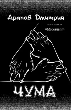 Дмитрий Арапов Михалыч обложка книги