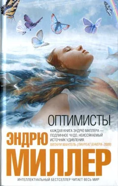 Эндрю Миллер Оптимисты обложка книги