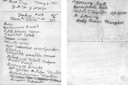 Early on I learned from my father to keep careful notes on birds My mother - фото 8