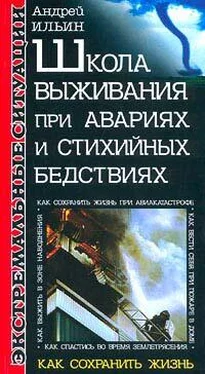 Андрей Ильин Школа выживания при авариях и стихийных бедствиях обложка книги