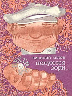 Василий Белов Целуются зори обложка книги