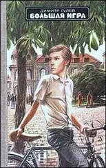 Димитр Гулев - Большая игра