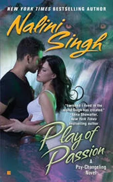 Nalini Singh Play of Passion обложка книги