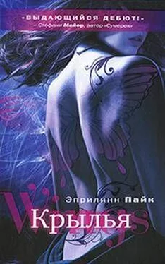 Эприлинн Пайк Крылья обложка книги