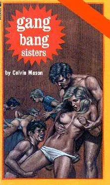 Calvin Mason Gang bang sisters обложка книги