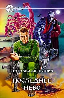 Наталья Игнатова Последнее небо обложка книги