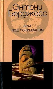 Энтони Бёрджес Враг под покрывалом обложка книги