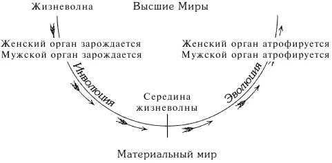 Диаграмма 13 Часть III БУДУЩЕЕ РАЗВИТИЕ И ПОСВЯЩЕНИЕ ЧЕЛОВЕКА Глава XV - фото 20