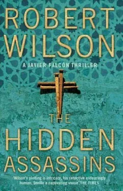 Robert Wilson The Hidden Assassins обложка книги