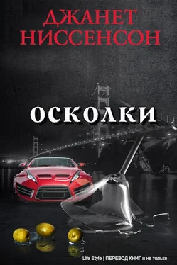 Джанет Ниссенсон Осколки обложка книги